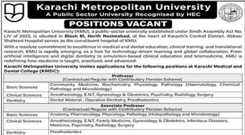 Karachi Metropolitan University Jobs 2026