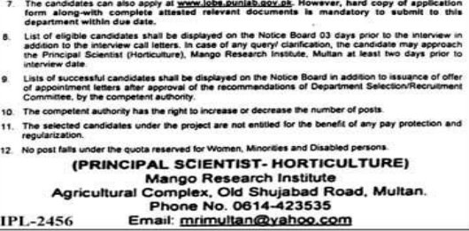 Mango Research Institute Multan Jobs 2026