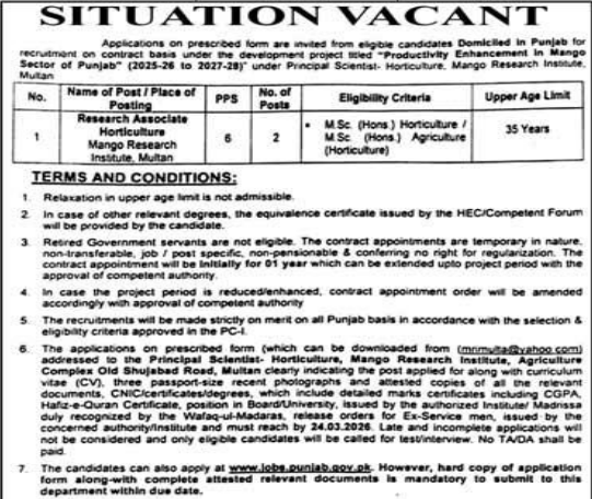 Mango Research Institute Multan Jobs 2026
